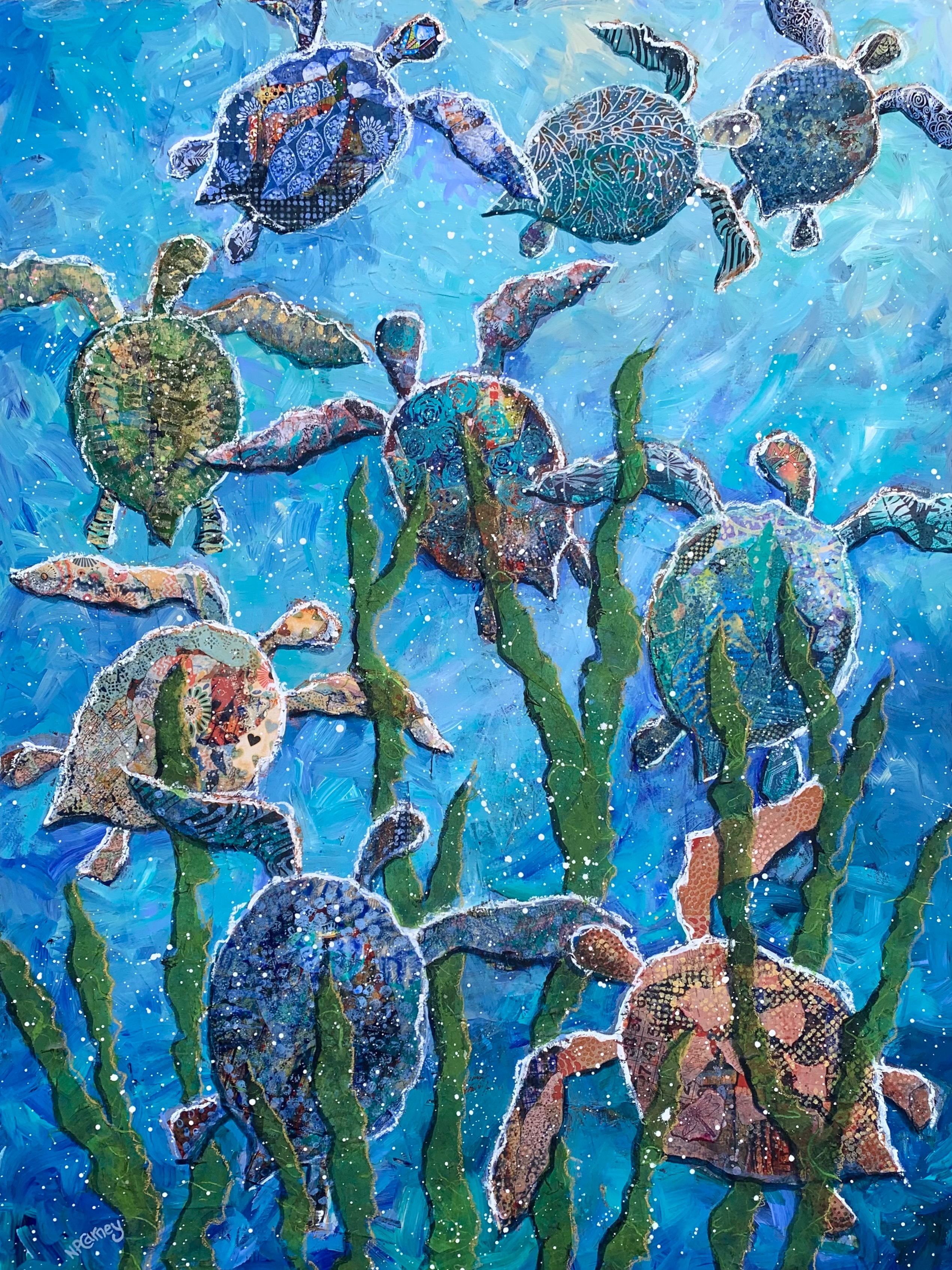 A Flotilla of Turtles